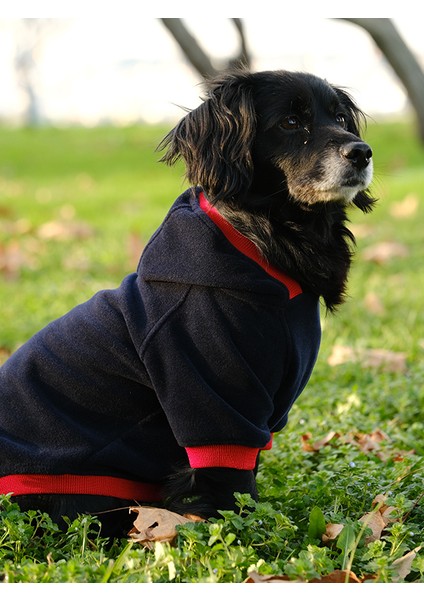 Büyük Irk Lacivert-Kırmızı Polar Sweatshirt Pops fiyatları