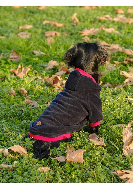 Büyük Irk Lacivert-Kırmızı Polar Sweatshirt Pops modelleri