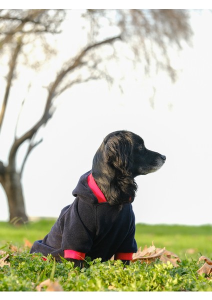 Küçük ve Orta Irk Lacivert-Kırmızı Polar Sweatshirt Pops