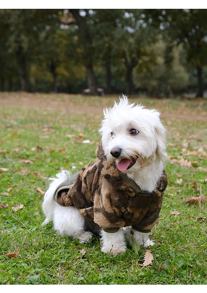 Küçük ve Orta Irk Kamuflaj Polar Sweatshirt Pops