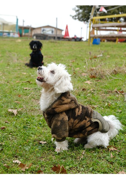 Küçük ve Orta Irk Kamuflaj Polar Sweatshirt Pops fiyatları