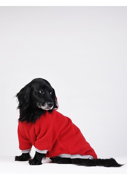 Küçük ve Orta Irk Kırmızı Polar Sweatshirt Pops