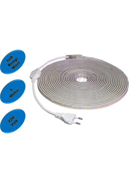 Hortum Şerit LED 220 Volt Su Geçirmez Fiş Dahil Metrede 68 LED 5730 Mavi 5 Metre