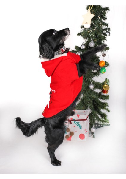 Küçük ve Orta Irk Kırmızı Polar Sweatshirt New Year fırsatları