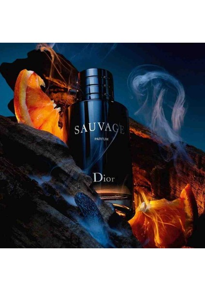Diorr Suvage 100 ml Erk Prfm