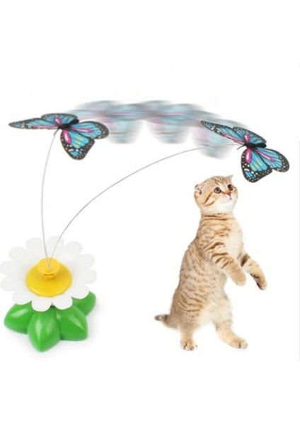 Hareketli Dönen Kelebek - Kedi Oyuncağı ( Pille Çalışır) modelleri