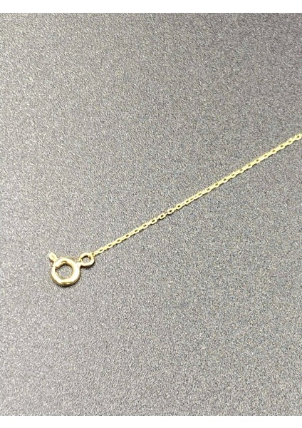 14 Ayar Altın Kolye Bileklik Uzatma Zinciri ( 5cm ) fiyatları