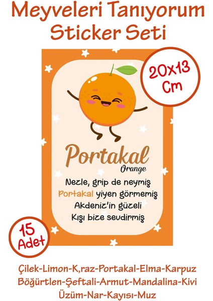 Meyveleri Öğreniyorum Çocuk Odası - Okul - Sınıf Sticker Seti