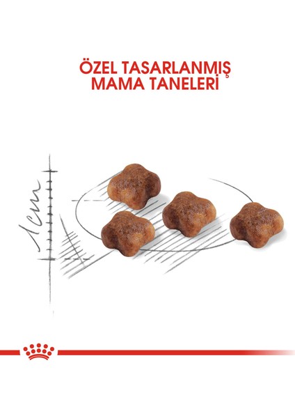 Babycat Yavru Kedi Maması - 2 kg fiyatları