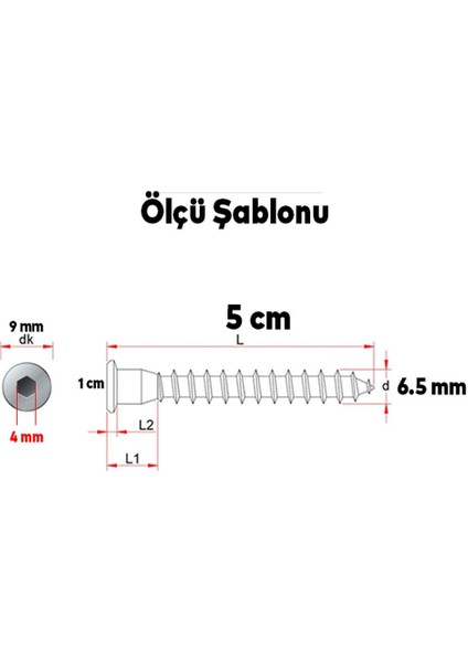 Silindir Vida Allen Başlı Kabin Vidası 6.5X50 10 Adet