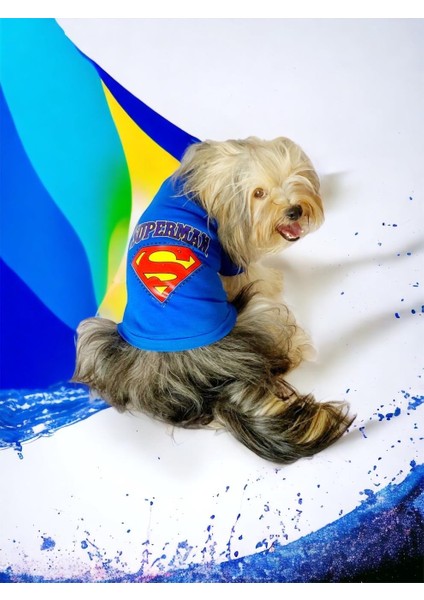 Superman Köpek Tişört Köpek Kıyafeti