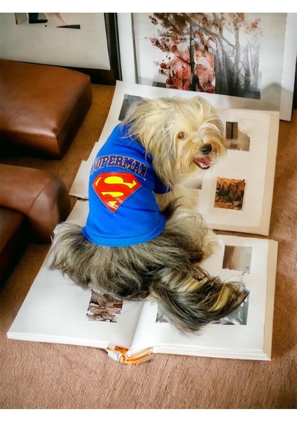 Superman Köpek Tişört Köpek Kıyafeti