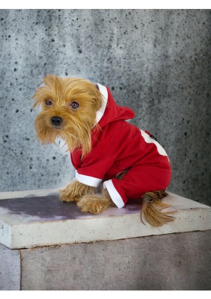 Kırmızı Sevimli Fare Duo Kapşonlu Köpek Tulumu fiyatları