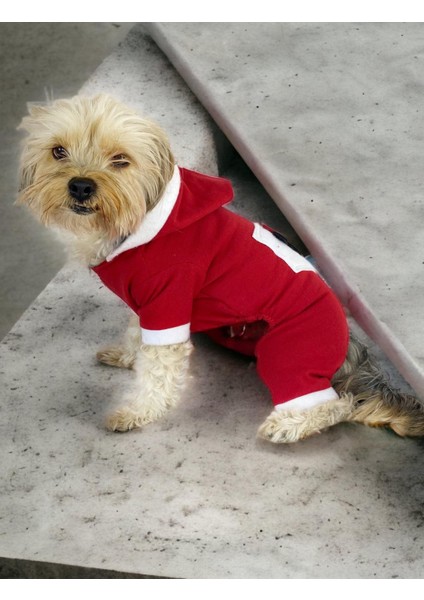 Kırmızı Sevimli Fare Duo Kapşonlu Köpek Tulumu fırsatları