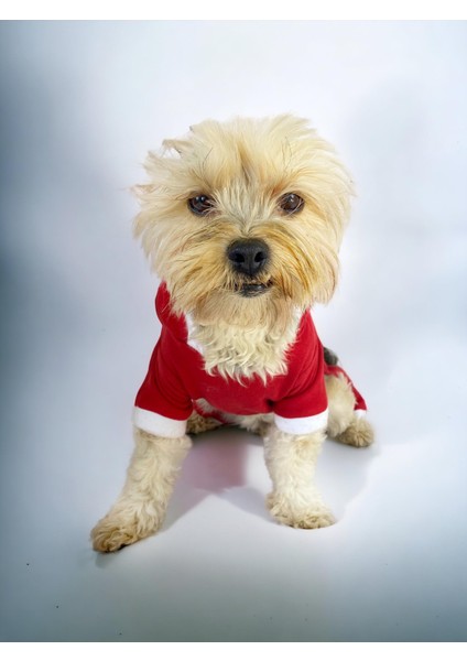 Kırmızı Sevimli Fare Duo Kapşonlu Köpek Tulumu indirimleri