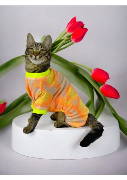 Tesla Penye Tulum Duo Kedi Tulumu Kedi Elbisesi