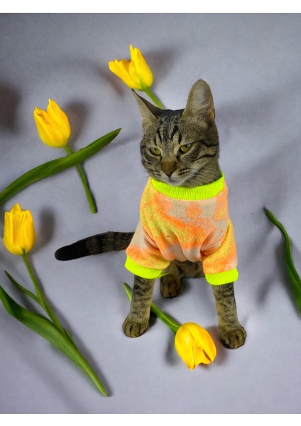 Tesla Penye Tulum Duo Kedi Tulumu Kedi Elbisesi fiyatları