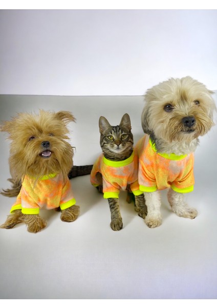 Tesla Penye Tulum Duo Kedi Tulumu Kedi Elbisesi indirimleri