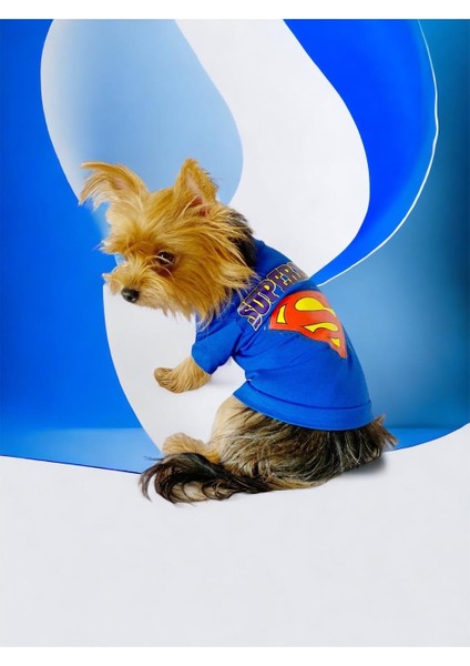 Superman Köpek Tişört Köpek Kıyafeti modelleri