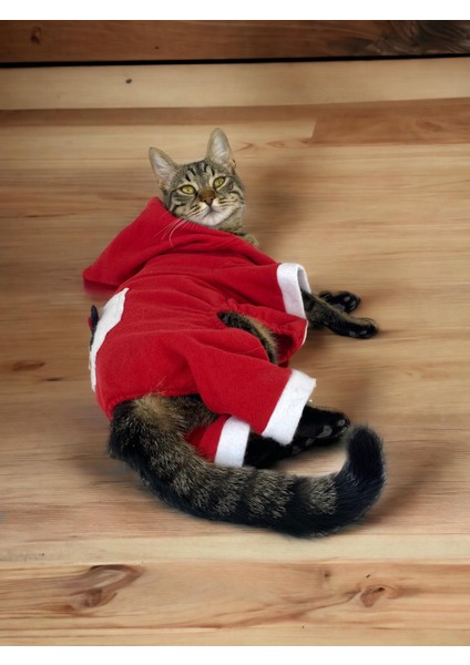 Kırmızı Sevimli Fare Kapşonlu Duo Kedi Tulumu fiyatları