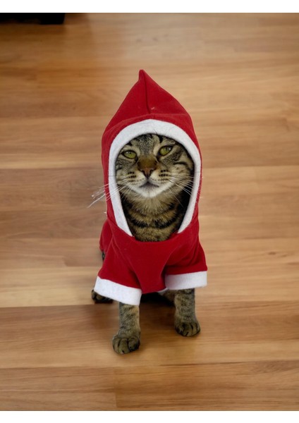 Kırmızı Sevimli Fare Kapşonlu Duo Kedi Tulumu modelleri