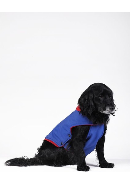 Küçük ve Orta Irk Saks Mavi Yelek Softshell