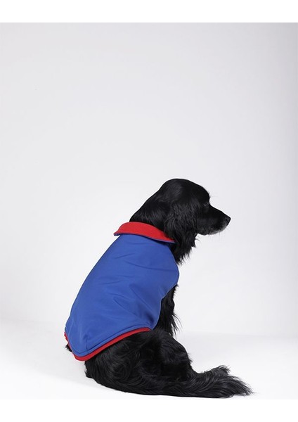 Küçük ve Orta Irk Saks Mavi Yelek Softshell