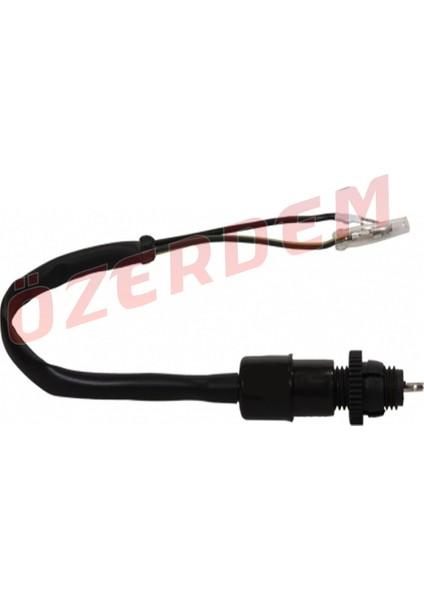 Cg Model Arka Fren Müşürü