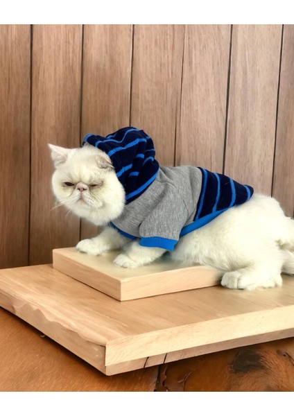 Blue Line Sweatshirt Kapşonlu Kedi Kıyafeti Kedi Sweatshirt