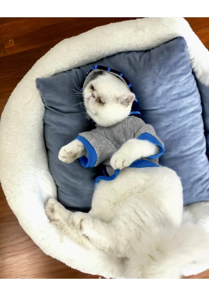 Blue Line Sweatshirt Kapşonlu Kedi Kıyafeti Kedi Sweatshirt