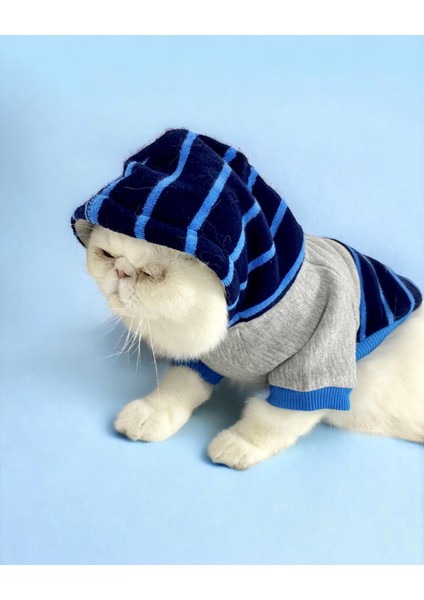 Blue Line Sweatshirt Kapşonlu Kedi Kıyafeti Kedi Sweatshirt