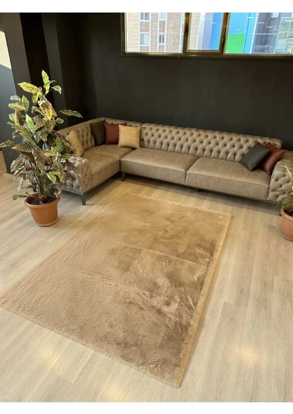 Extra Carpet Modern Tavşan Tüyü Yumuşacık Tüy Dökmez Peluş Halı Vizon