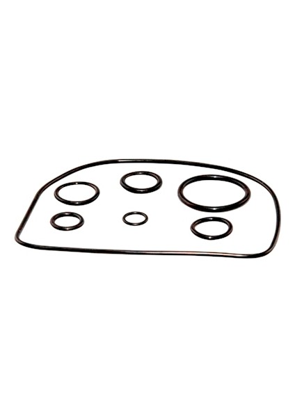 Scooter O-Ring Seti 7 Li