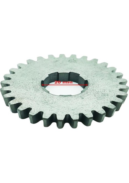 110 Şanzıman Dişli 29T Iç 20X6 Kanallı Öm
