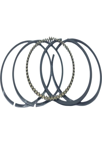 Cg 200 Sekman 65,50XİNCE