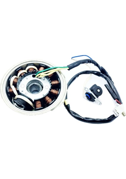 Manyota (Alternatör) Komple 11 Li