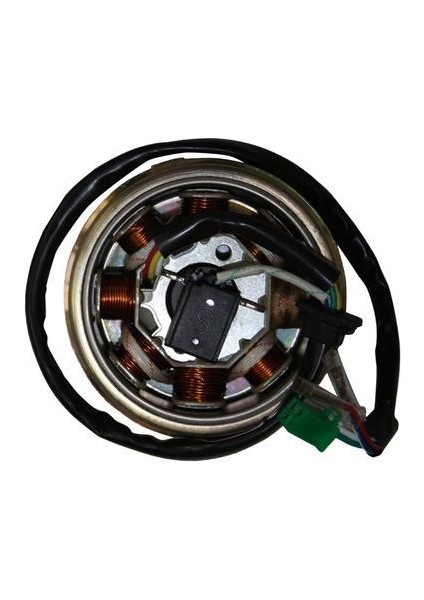 125ZN Nt, L0YAL 100RT Alternatör Komple 8 Li Orj