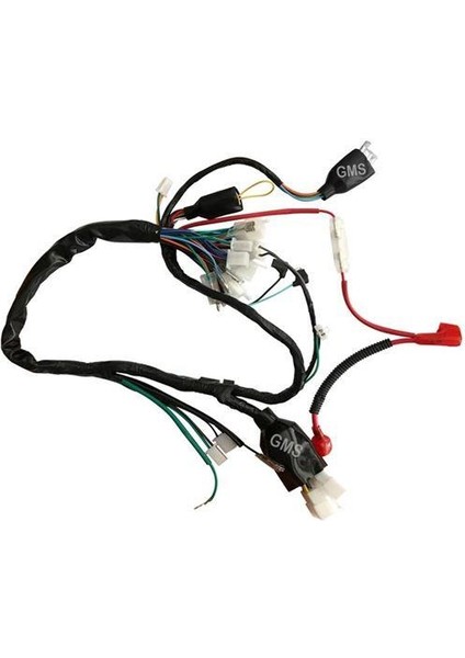 Elektrik Tesisatı 5 Fişli Cg