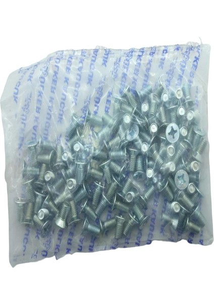 Cg Gidon Kilit Civatası 100 Ad