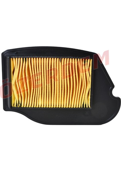 Tvs Wego-Jupiter Hava Filtre Elemanı