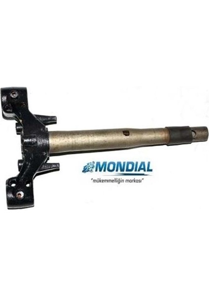 Mondial Rot Alt Platin Km/Ft/Kh Orj