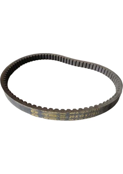 20 10 778 Kayış F&f Venuva