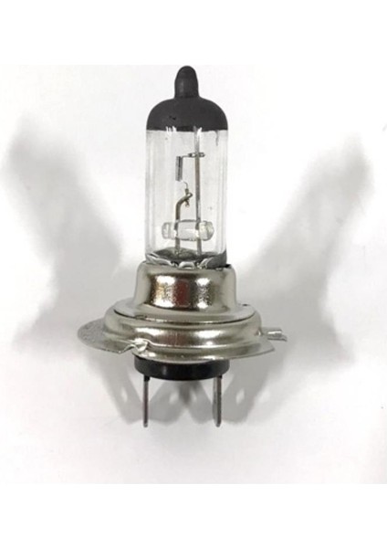12V 55W H7 Ampül