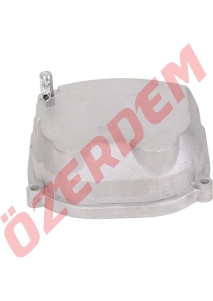 Külbütör Kapağı Saçlı