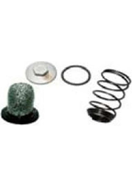 Scooter Subap Tapası (17 Anahtar Başlı)&süzgeç&oring Seti 50 Scooter