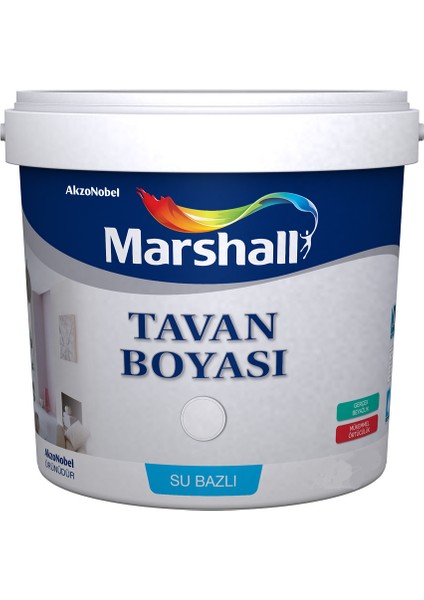 Tavan Boyası