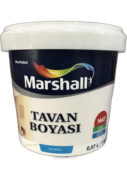 Tavan Boyası