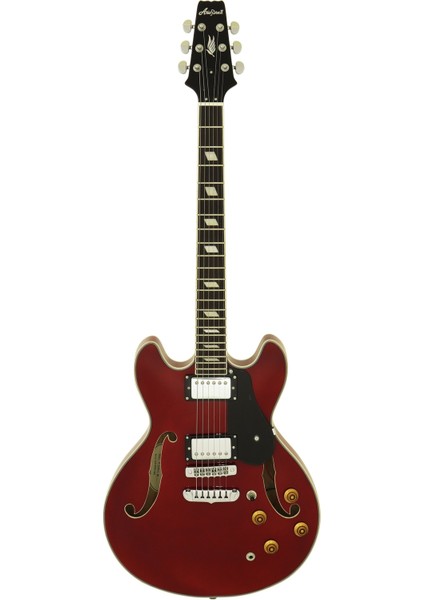Pro Iı Taclassıcwr Elektro Gitar