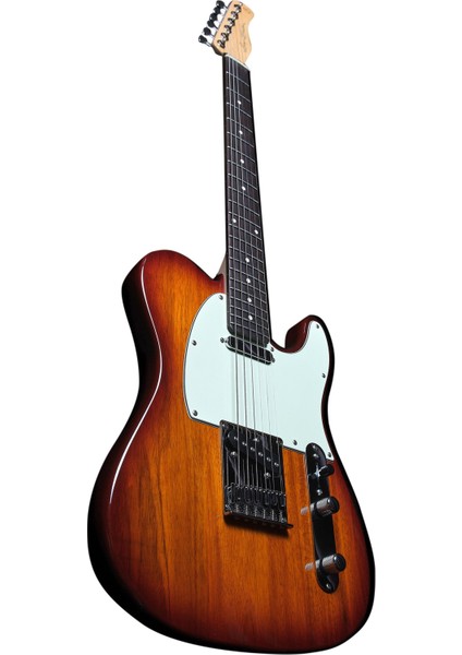 Larry Carlton T3 Elektro Gitar (Ts)