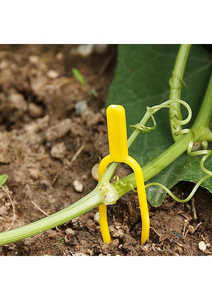 Yeni Bahçe Aletleri 100 Adet Plastik Kaliteli Bitki Klipler Stolons Sabitleme Vines Çiftlik Klipsi Için Kelepçe (Yurt Dışından)